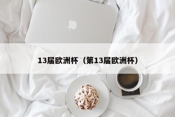 13届欧洲杯（第13届欧洲杯）